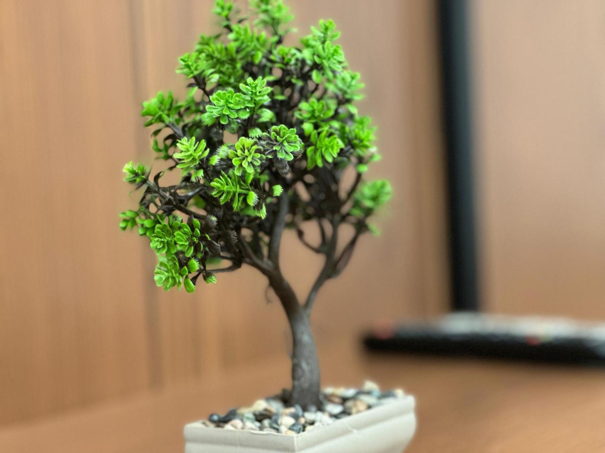 Villa Memaj クサミル エクステリア 写真